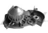 RENAU 7700736091 Water Pump